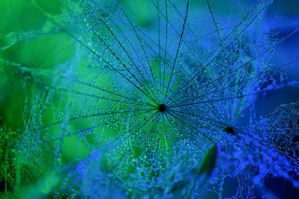 Between Wind and Light – poetic movements