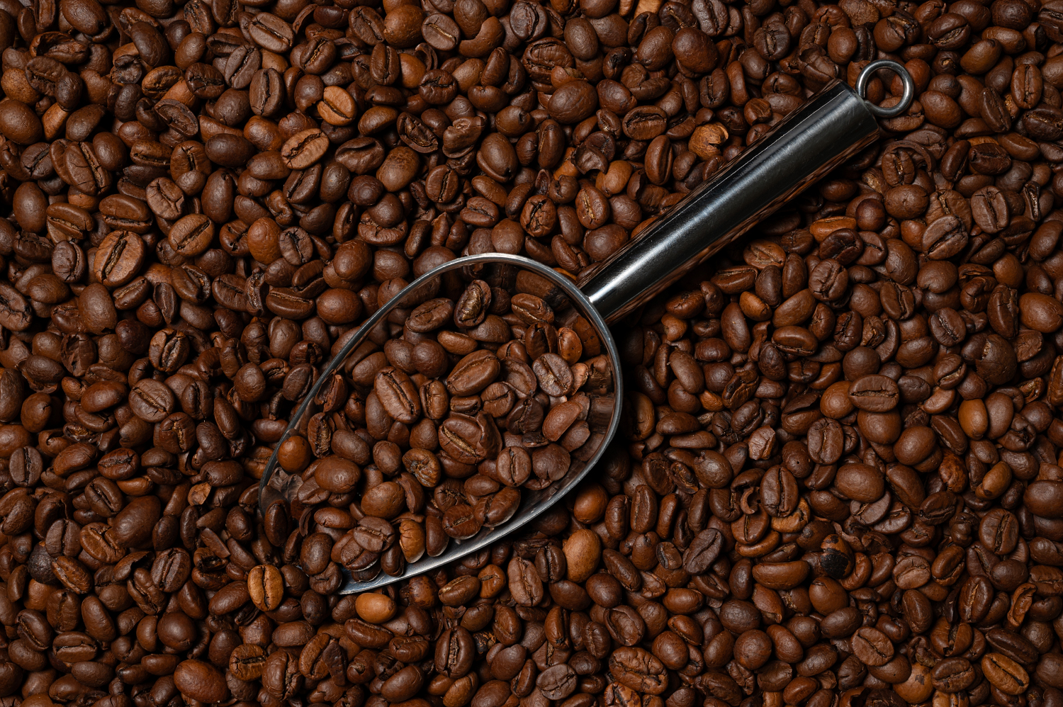 Eine dichte Ansammlung von gerösteten Kaffeebohnen füllt das Bild, zentral akzentuiert durch einen glänzenden Metallkaffeelöffel. Ideal für Publikationen zum Thema Kaffee, Gastronomie und Handel, bietet das Bild reiche Texturen und Tiefenschärfe.