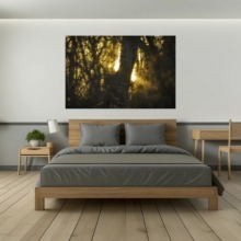 Das goldene Flüstern des Waldes – Fine Art Print von Ulrich Roth