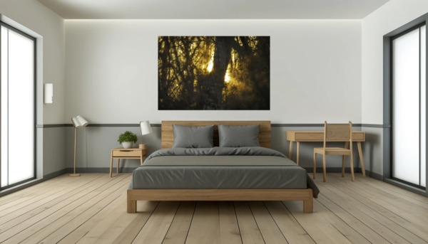 Das goldene Flüstern des Waldes – Fine Art Print von Ulrich Roth