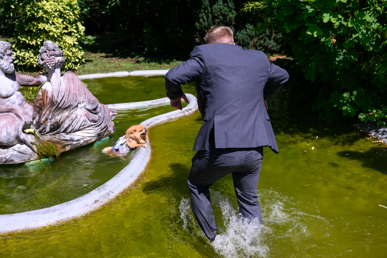 Hochzeit im Schloss Edesheim – Gast springt in Anzug in den Teich, um den Ringhund während der Trauung zu retten (08.08.2025)