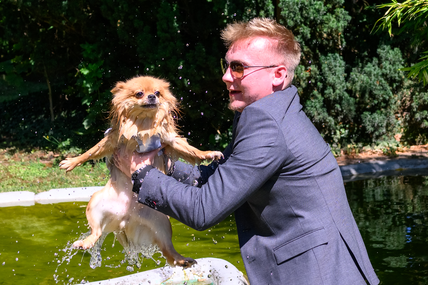 Hochzeitsgast rettet durchnässten Ringhund aus dem Teich bei einer Sommerhochzeit im Schloss Edesheim am 08.08.2025
